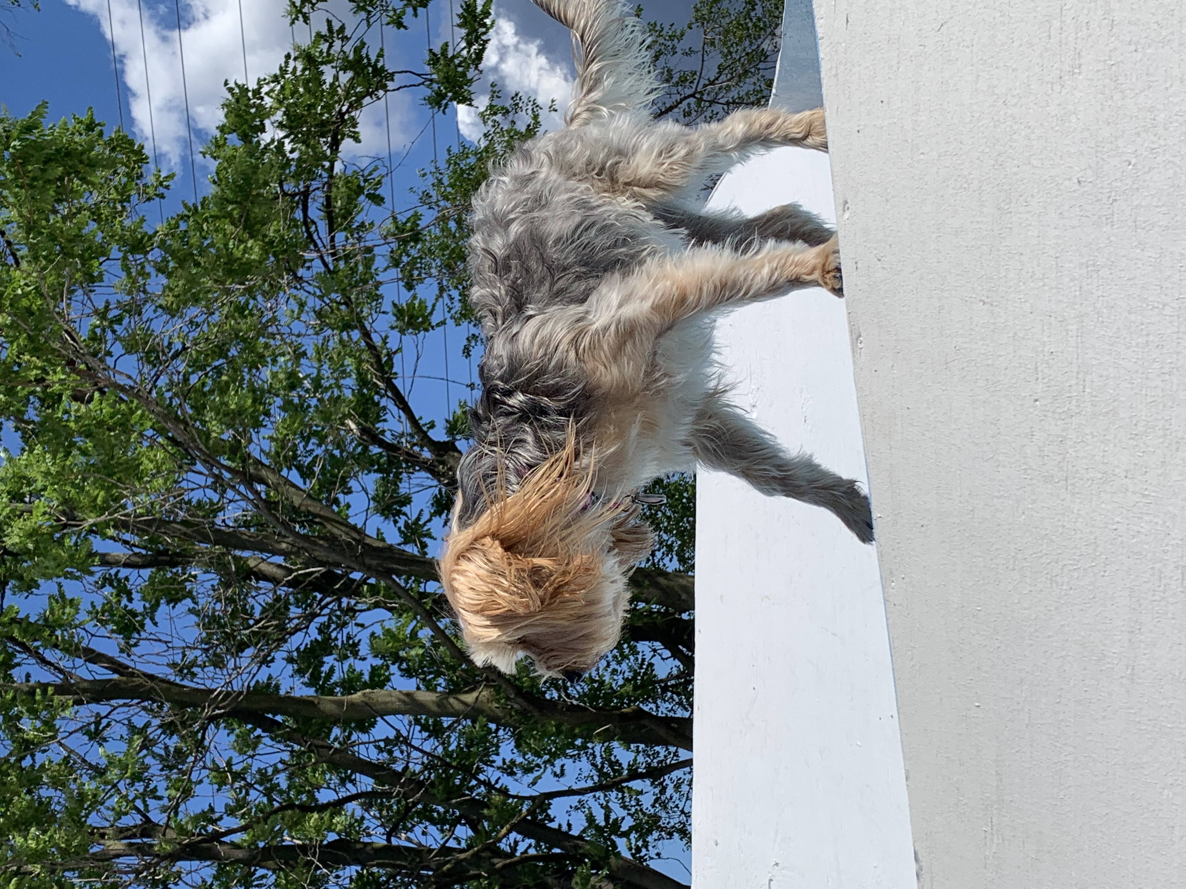 ./2022/06 - St Louis/06 - Day 6/20220526-102121219.JPG